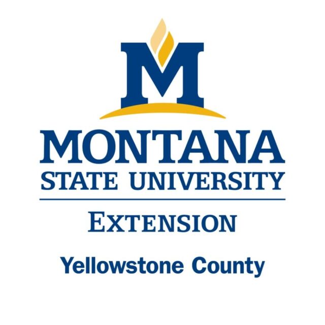Montana State University Extension Service Logo with the name Yellowstone