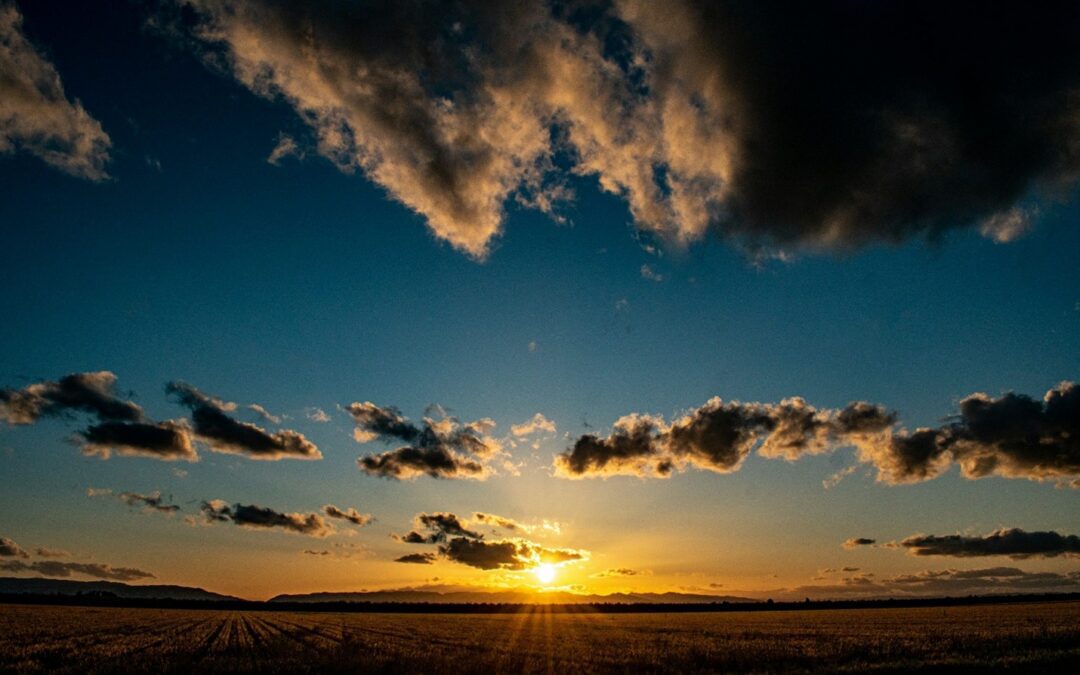 A Path Forward: Building the Future of Independence Together